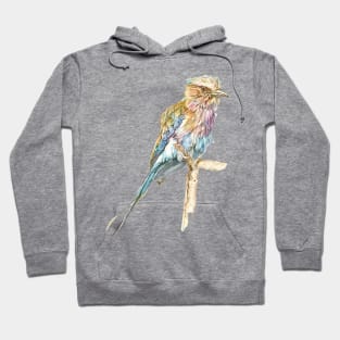 Lilac Crested Roller, Exotic African Bird Hoodie